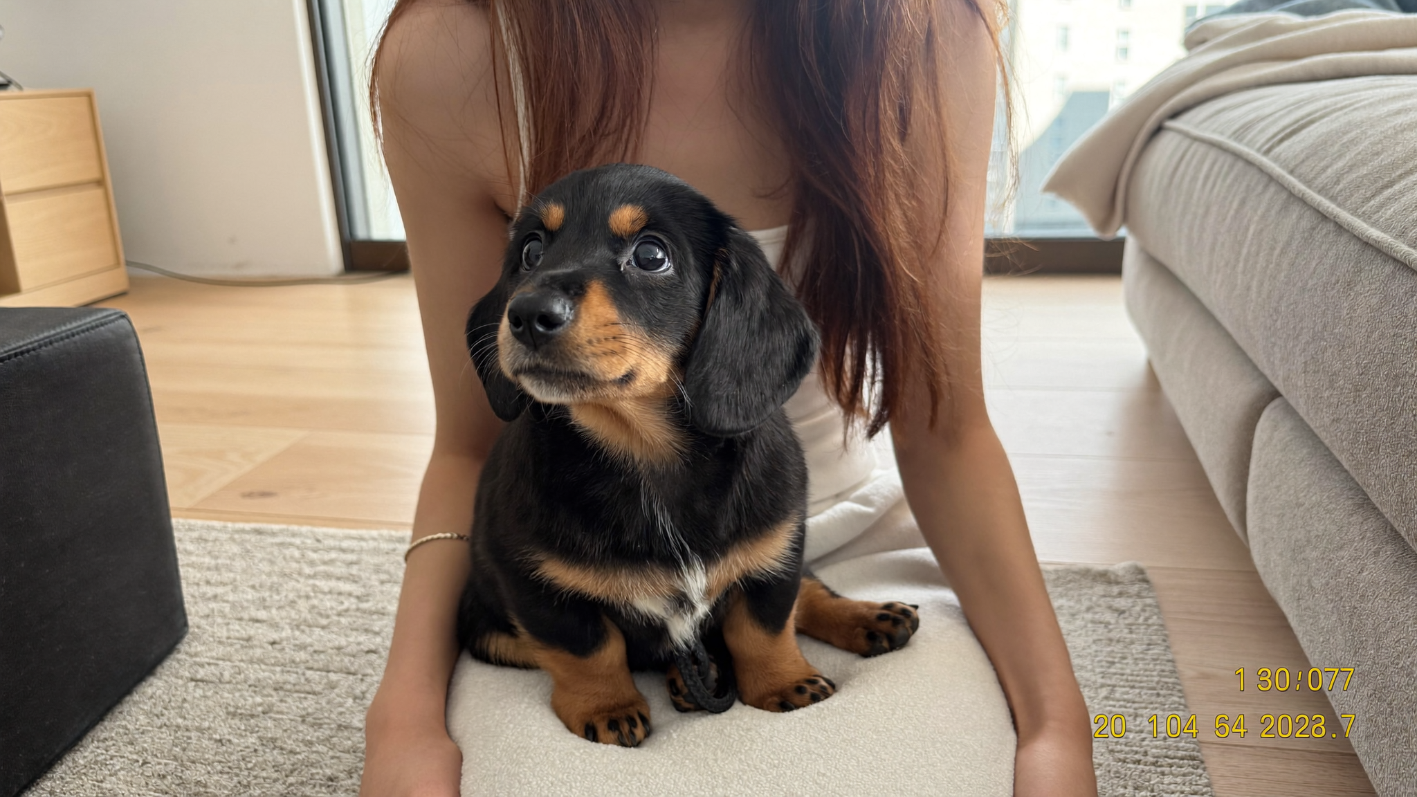 강아지 간식은 몇 개월부터 줘도 될까